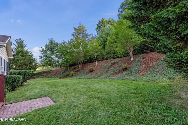 505 Bugaboo Springs Rd, Jonesborough, TN 37659 - view of grassy yard