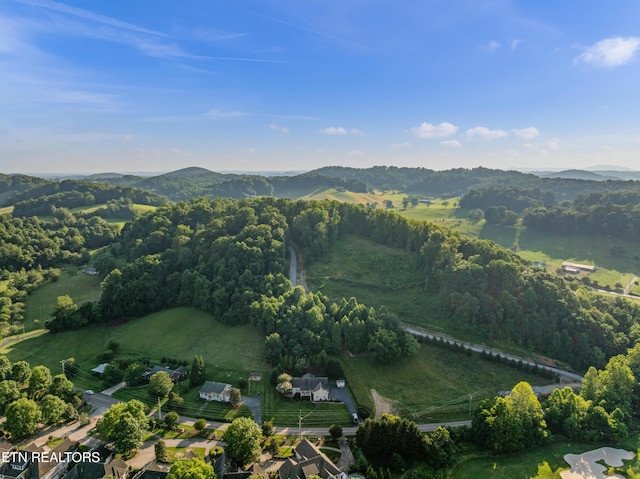 505 Bugaboo Springs Rd, Jonesborough, TN 37659 - aerial view of a mountain backdrop