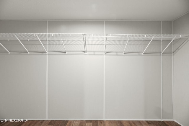 308 Cowan Ln, Lafollette, TN 37766 - walk in closet with wood finished floors