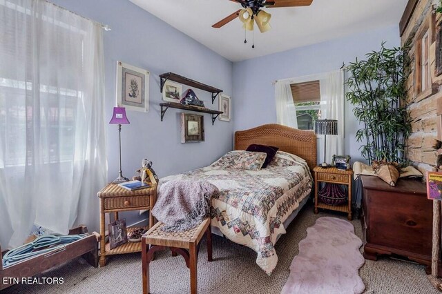179 Holiday Ln, Sparta, TN 38583 - photo 25