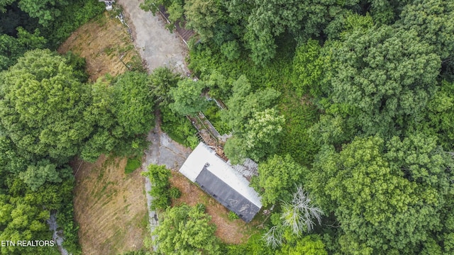 3614 Tracy Way, Knoxville, TN 37931 - photo 5