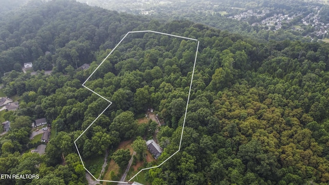3614 Tracy Way, Knoxville, TN 37931 - photo 6