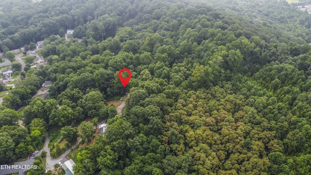 3614 Tracy Way, Knoxville, TN 37931 - photo 7