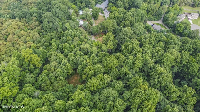 3614 Tracy Way, Knoxville, TN 37931 - photo 10
