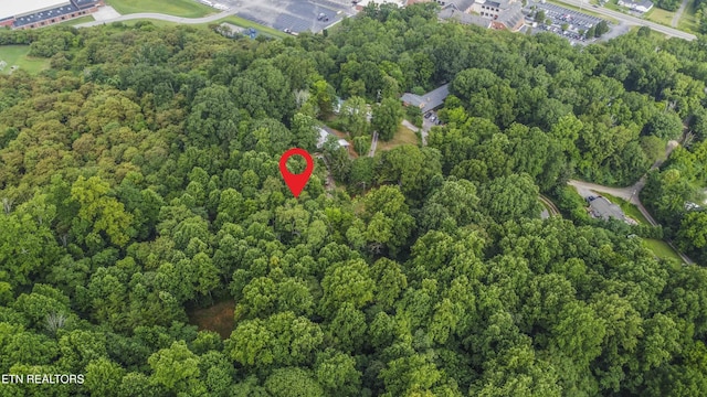 3614 Tracy Way, Knoxville, TN 37931 - photo 11