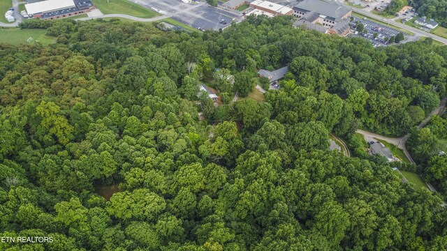 3614 Tracy Way, Knoxville, TN 37931 - photo 12