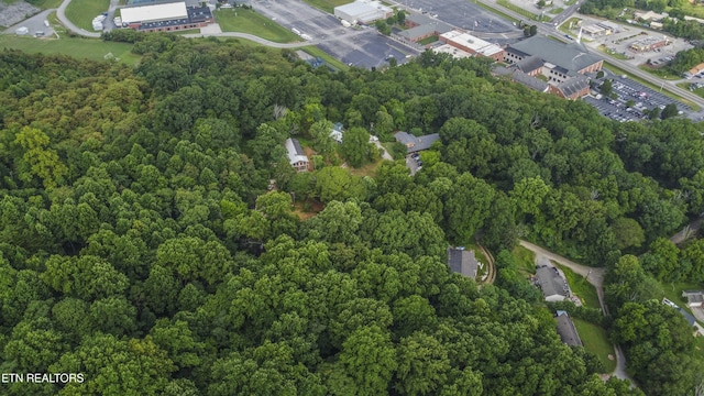 3614 Tracy Way, Knoxville, TN 37931 - photo 13