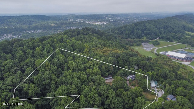 3614 Tracy Way, Knoxville, TN 37931 - photo 14