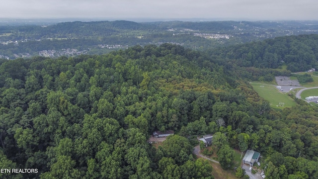 3614 Tracy Way, Knoxville, TN 37931 - photo 15