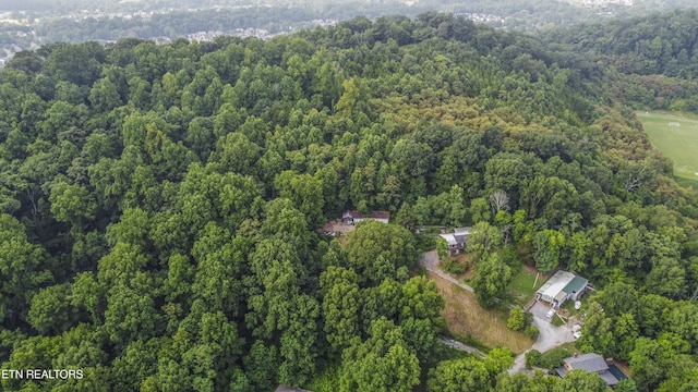 3614 Tracy Way, Knoxville, TN 37931 - photo 16