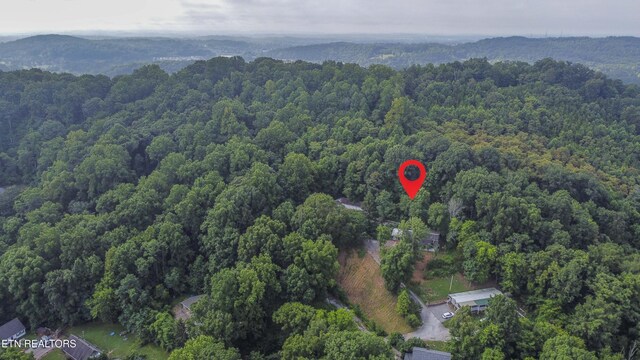 3614 Tracy Way, Knoxville, TN 37931 - photo 17