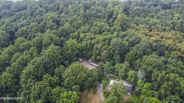 3614 Tracy Way, Knoxville, TN 37931 - photo 18