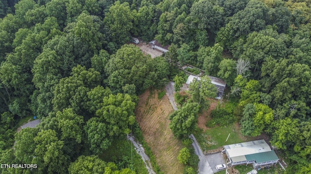 3614 Tracy Way, Knoxville, TN 37931 - photo 19