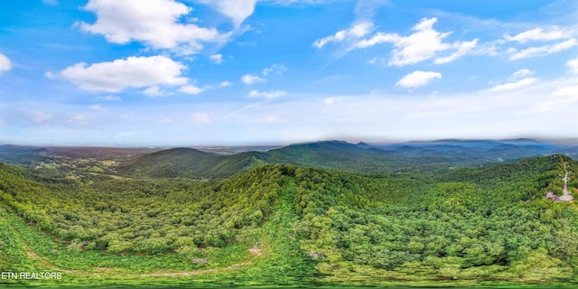 5 Shell Mountain Rd, Sevierville, TN 37876