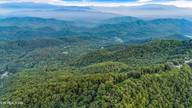 5 Shell Mountain Rd, Sevierville, TN 37876