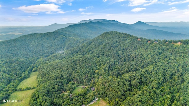 5 Shell Mountain Rd, Sevierville, TN 37876