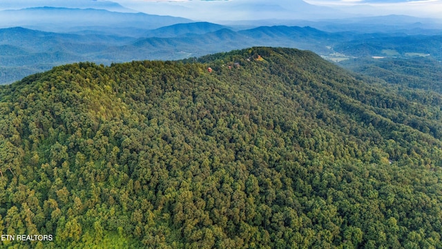5 Shell Mountain Rd, Sevierville, TN 37876