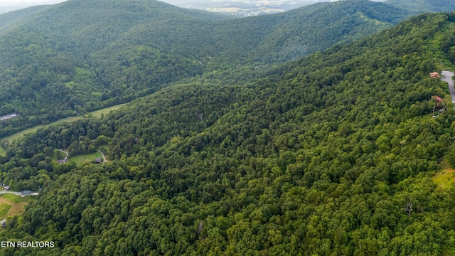 5 Shell Mountain Rd, Sevierville, TN 37876