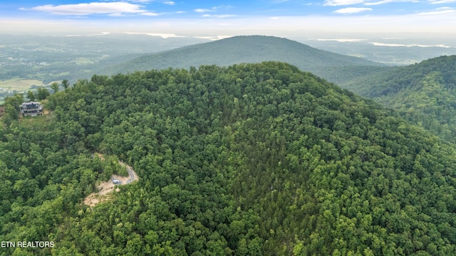 5 Shell Mountain Rd, Sevierville, TN 37876
