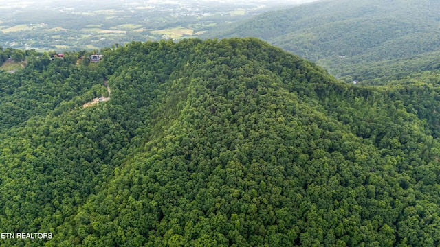 5 Shell Mountain Rd, Sevierville, TN 37876