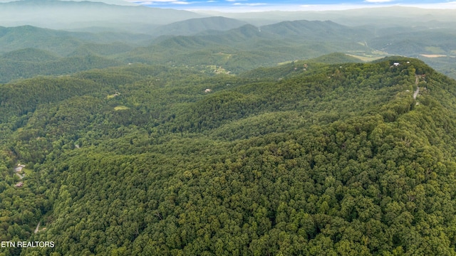 5 Shell Mountain Rd, Sevierville, TN 37876
