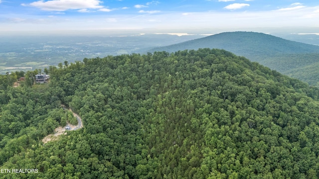 5 Shell Mountain Rd, Sevierville, TN 37876