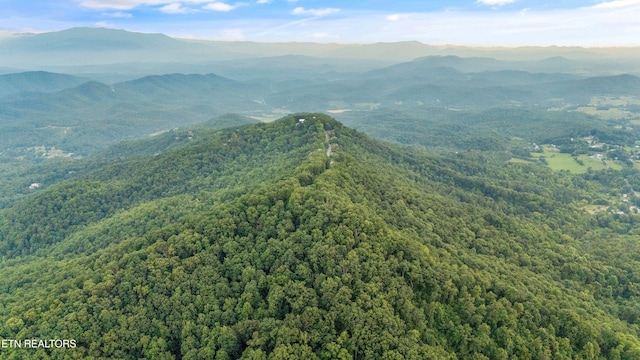 5 Shell Mountain Rd, Sevierville, TN 37876