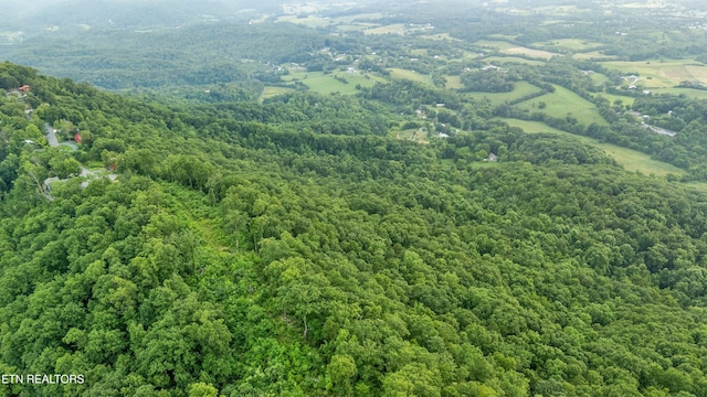 5 Shell Mountain Rd, Sevierville, TN 37876
