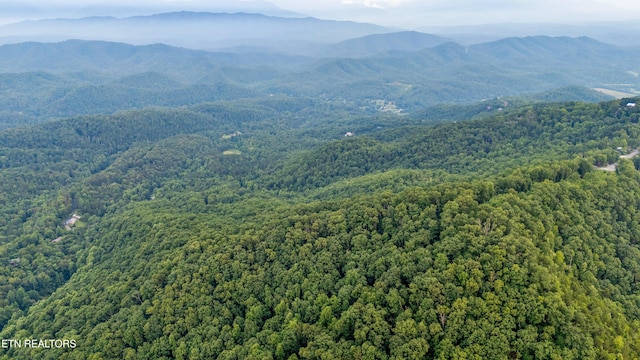 5 Shell Mountain Rd, Sevierville, TN 37876