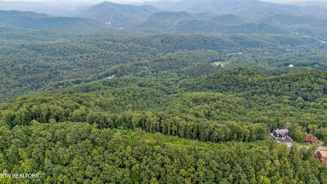 5 Shell Mountain Rd, Sevierville, TN 37876