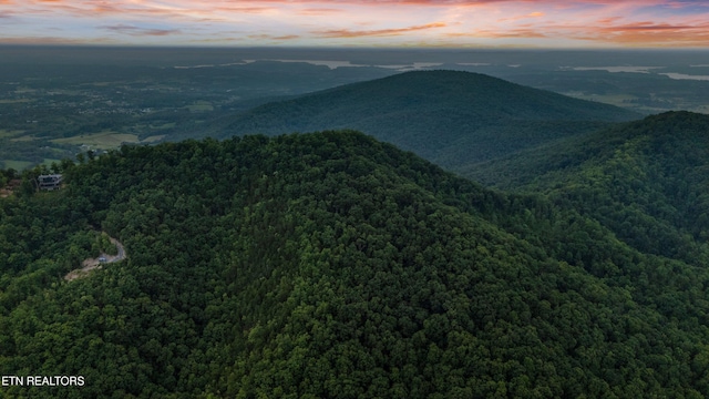 5 Shell Mountain Rd, Sevierville, TN 37876