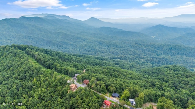 5 Shell Mountain Rd, Sevierville, TN 37876