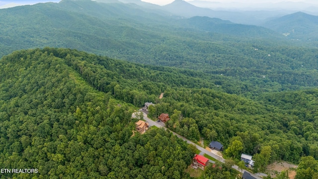 5 Shell Mountain Rd, Sevierville, TN 37876