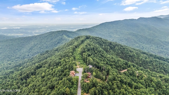 5 Shell Mountain Rd, Sevierville, TN 37876