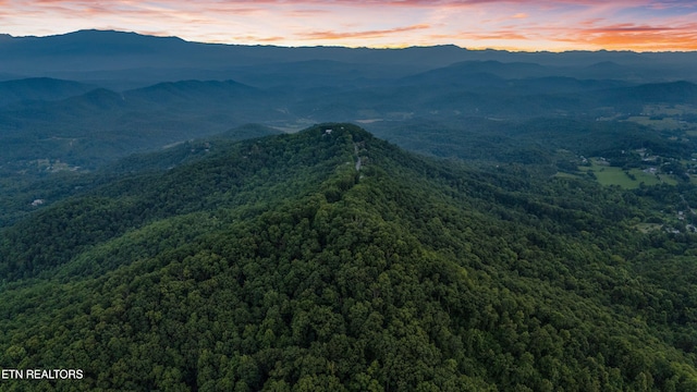 5 Shell Mountain Rd, Sevierville, TN 37876