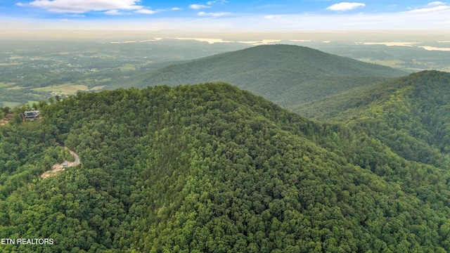 5 Shell Mountain Rd, Sevierville, TN 37876