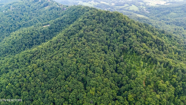 5 Shell Mountain Rd, Sevierville, TN 37876