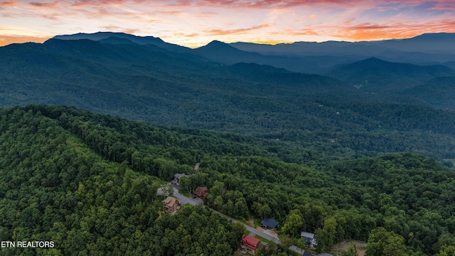 5 Shell Mountain Rd, Sevierville, TN 37876