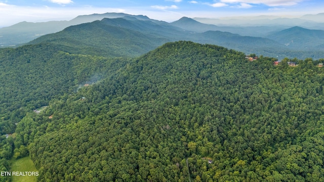5 Shell Mountain Rd, Sevierville, TN 37876