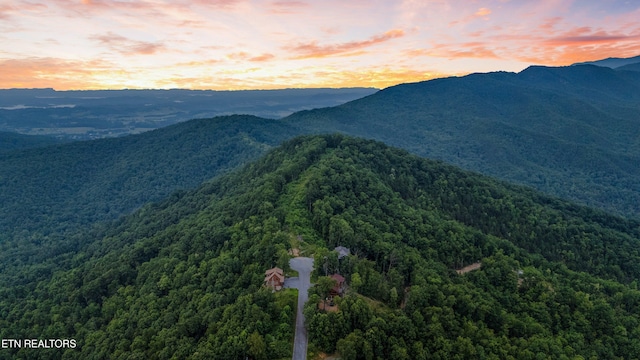 5 Shell Mountain Rd, Sevierville, TN 37876