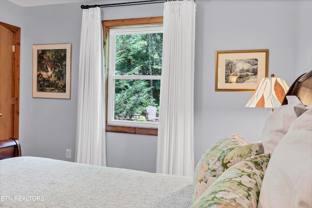 132 Cutter Gap Rd, Townsend, TN 37882 - view of bedroom
