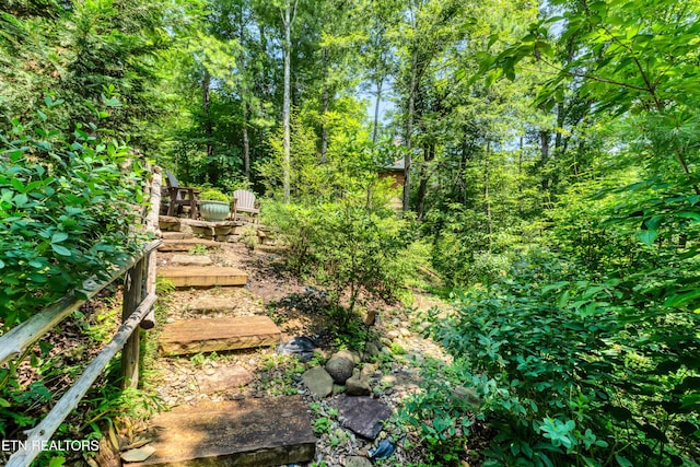 132 Cutter Gap Rd, Townsend, TN 37882 - view of yard