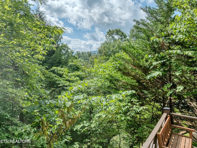 132 Cutter Gap Rd, Townsend, TN 37882 - view of tree filled area