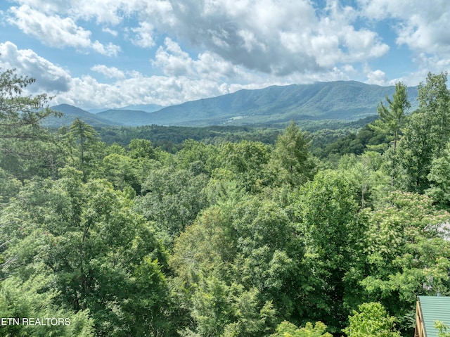 132 Cutter Gap Rd, Townsend, TN 37882 - view of mountain background with a heavily wooded area