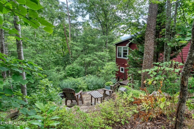 132 Cutter Gap Rd, Townsend, TN 37882 - view of yard