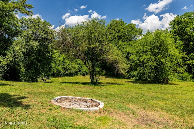322 Abrams St, Rockford, TN 37853 - photo 24