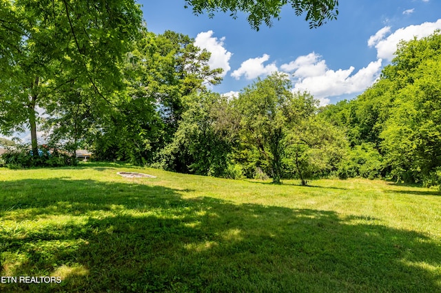 322 Abrams St, Rockford, TN 37853 - photo 26