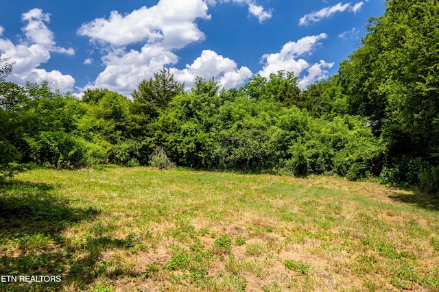 322 Abrams St, Rockford, TN 37853 - photo 30