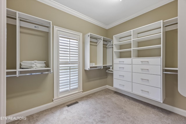 1219 Barton Place Ln, Knoxville, TN 37922 - spacious closet featuring carpet
