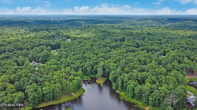265 Falling Leaf Rd, Jamestown, TN 38556 - aerial overview of property's location featuring a large body of water and a forest